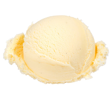 Image of COM: Ice Cream French Vanilla Bean Flake - 1 x 11.4 Litres